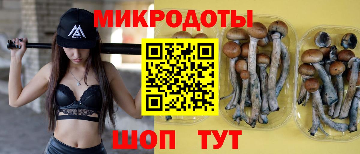 Галлюциногенные грибы Magic Shrooms Шебекино