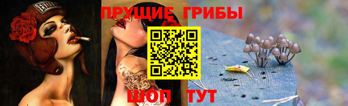 Шебекино  Псилоцибиновые грибы Psilocybine cubensis  где купить наркоту  Галлюциногенные грибы Cubensis  Вход с VPN 